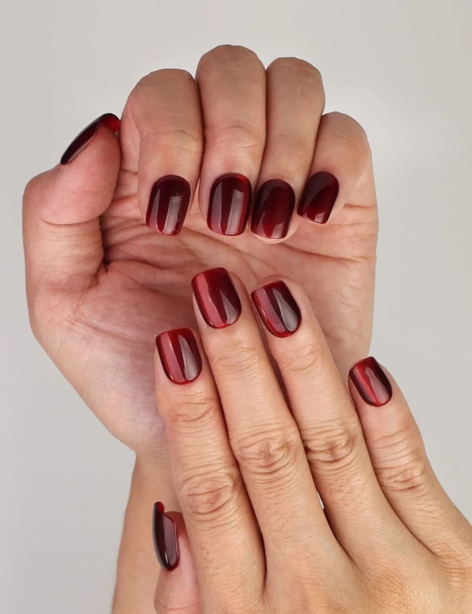 Burgundy Velvet Shine – image 3