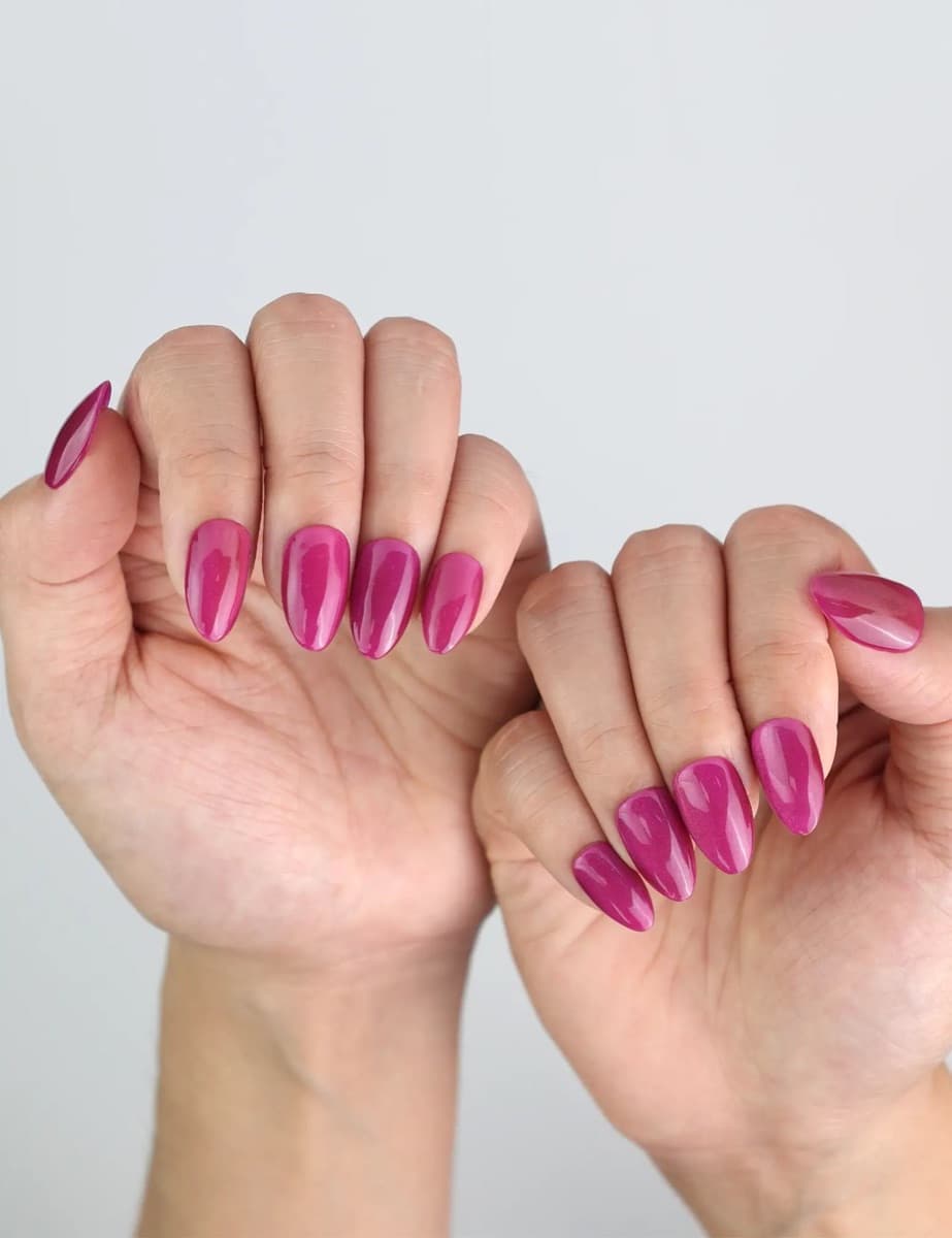 Purple Pulse – image 4